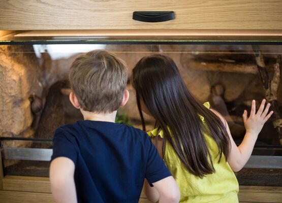 Kinder in der Forschungsstation der St. Martins Therme und Lodge