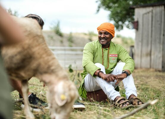 A man is sitting outside next to a sheep that is grazing.