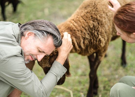 A man is leaning against a brown sheep while a woman is petting it.