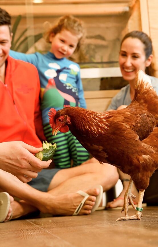 Familie sitzt auf dem Boden und füttert ein braunes Huhn, während alle lächelnd zusehen.