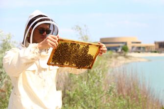 Imker in Schutzkleidung hält Bienenrahmen mit dicht besetzter Wabe voller Bienen.